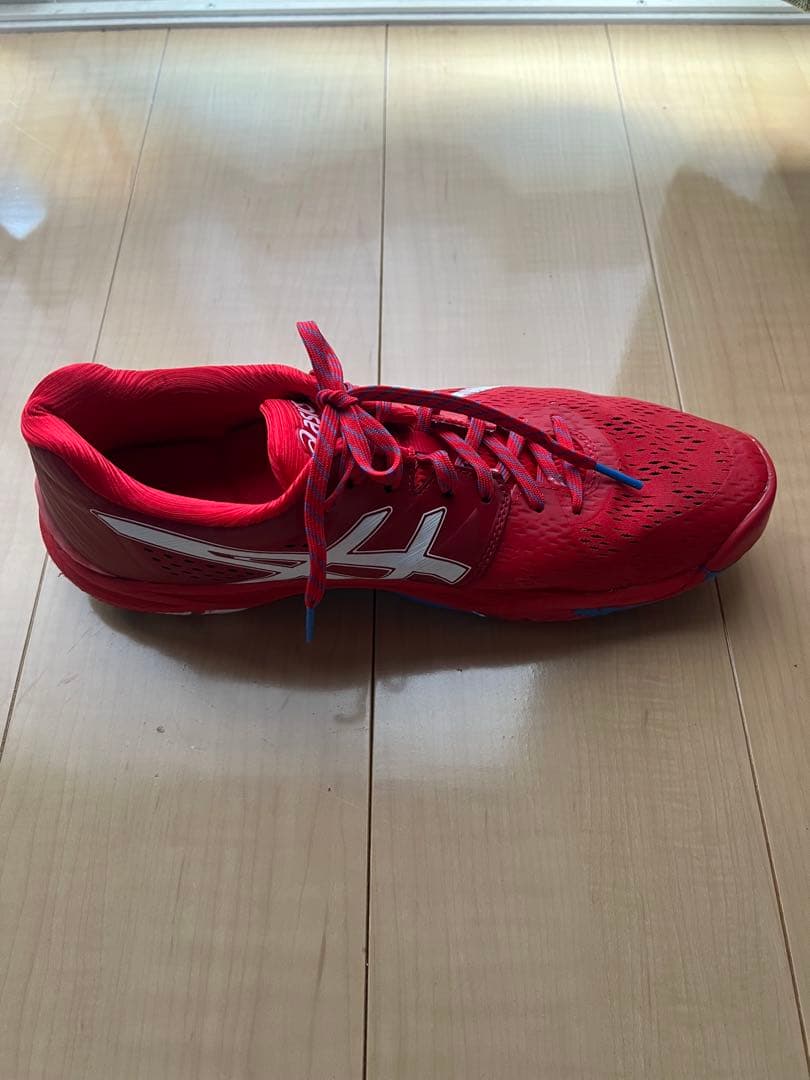 asics スカイエリート　限定色(27.5センチ)