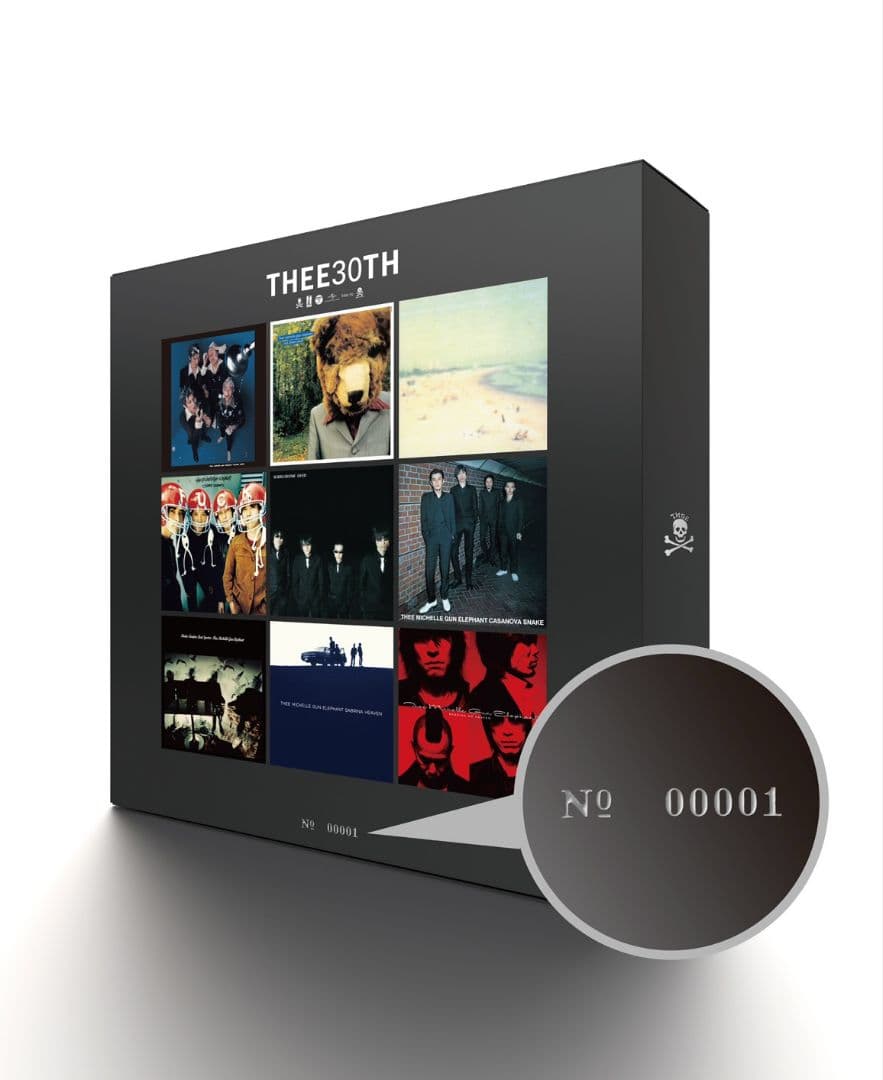【新品 非売品】THEE 30TH 500個限定 アナログ収納BOX