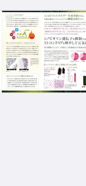 ミトコリーナ(MITOCOLiNA) 葉酸500μg配合エイジングケア未開封新品