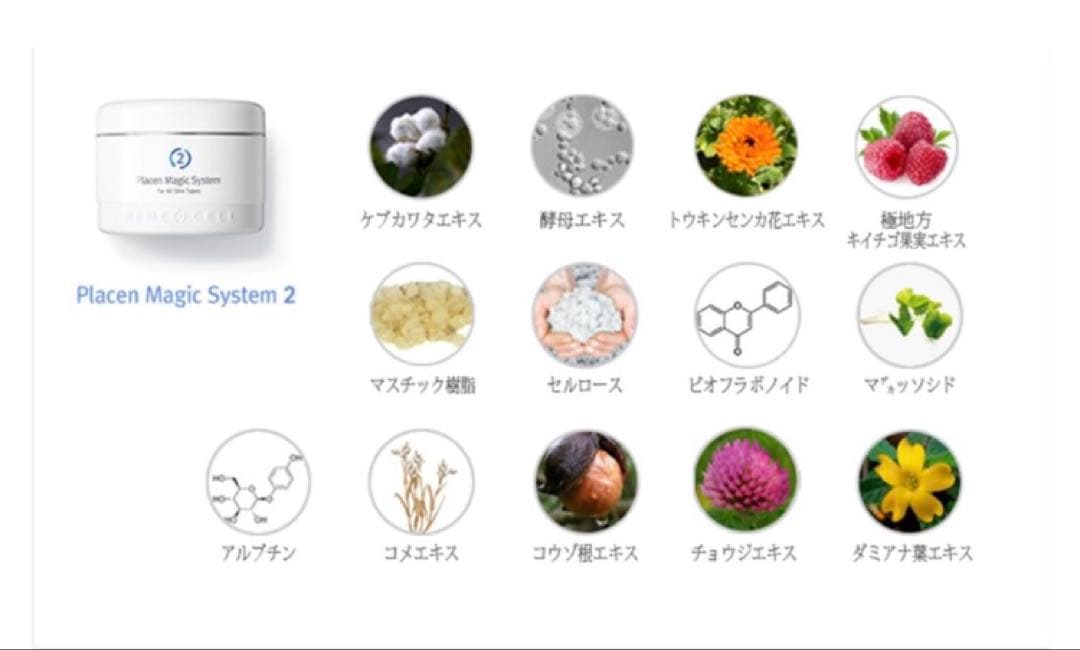 リス子様⭐︎専用ルネセル プラセン マジックシステム 1＆2セット