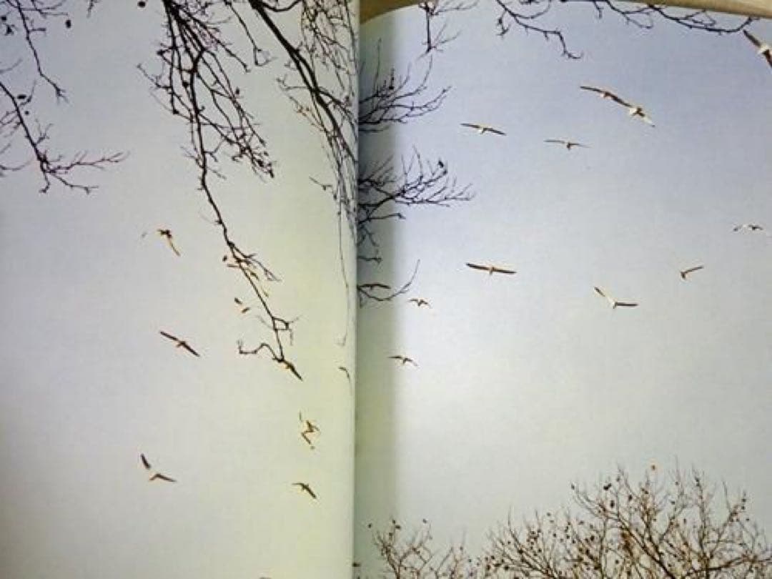 絶版‼️ Game Peter Sutherland 写真集