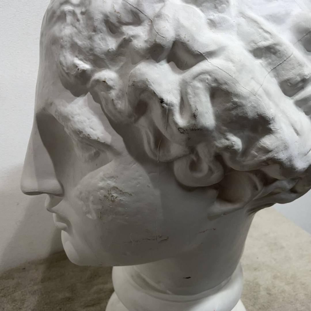 西洋 石膏像 パルテノン ラボルト デッサン 首像 アンティーク 　XＺ3374