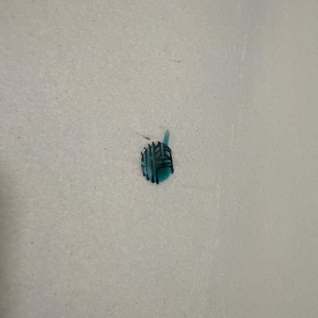 九谷焼★武腰潤★色絵★川蝉文★盛器★盛皿★飾皿★翡翠 カワセミ★泰山窯★4代目