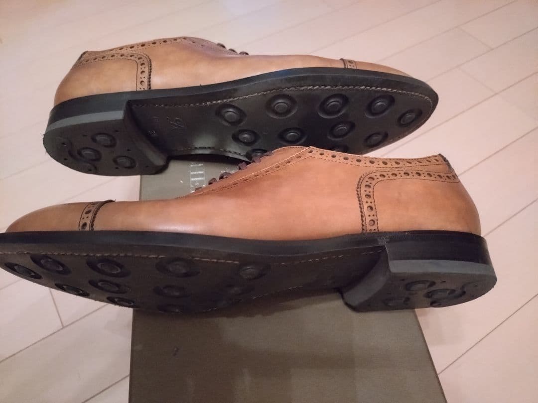 REGAL　シェットランドフォックス