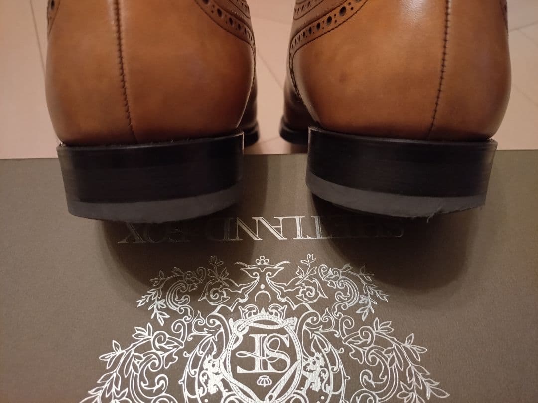 REGAL　シェットランドフォックス