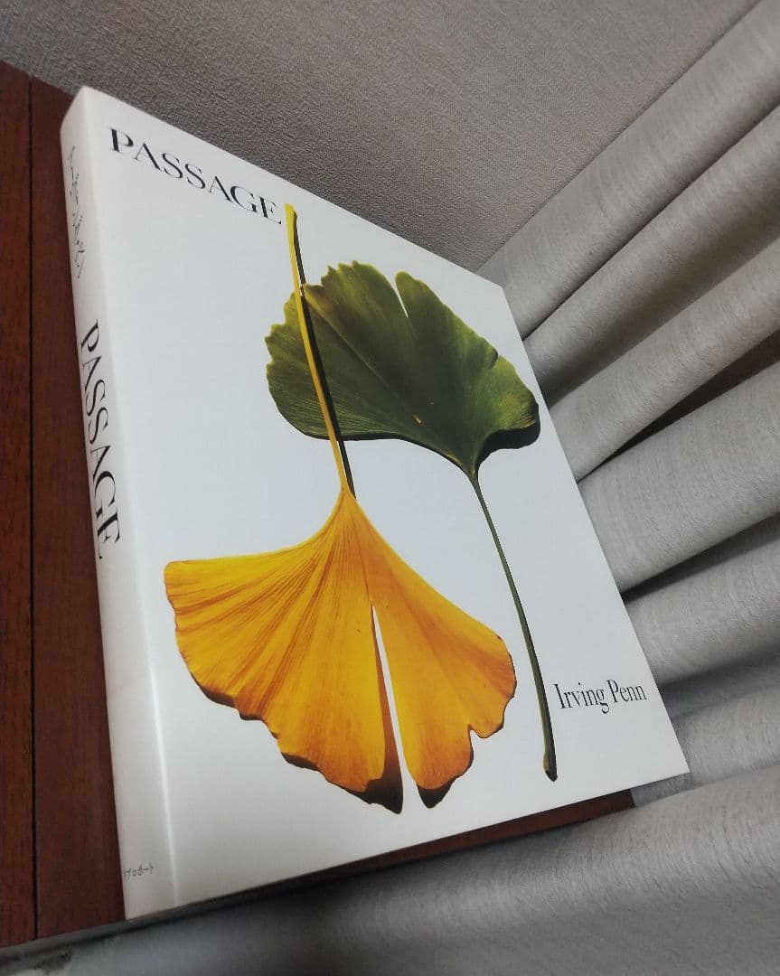 ★Irving Penn PASSAGEアーヴィング・ペンパッセージ作品集写真集
