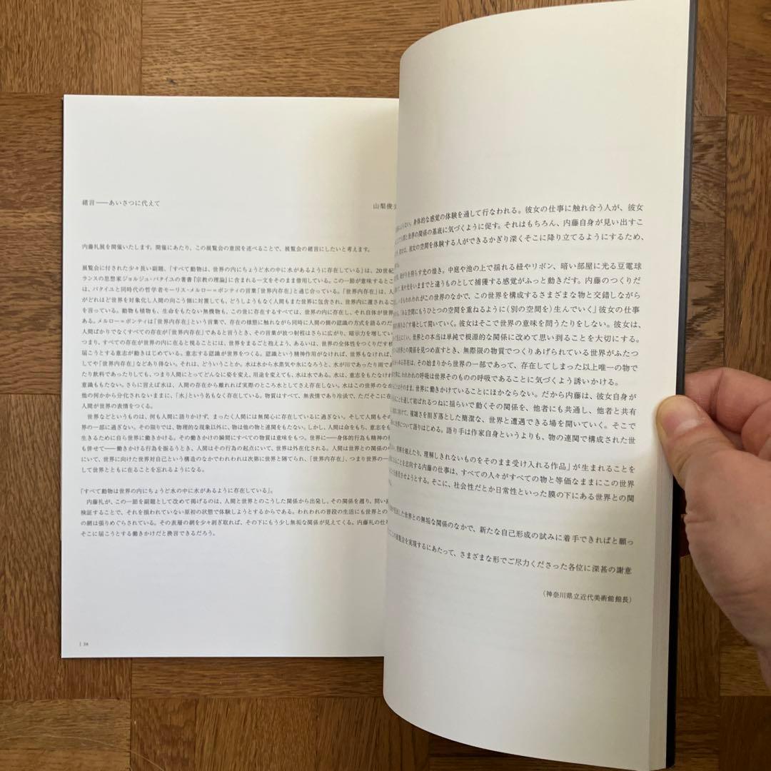 内藤礼　図録2冊セット 「すべて動物は、世界の内に…」 「たくさんのものが…」