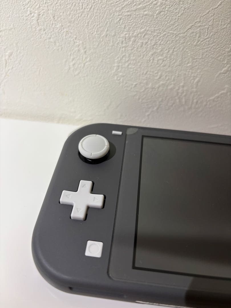 Switch Lite 任天堂 (ケース、SDカード付)