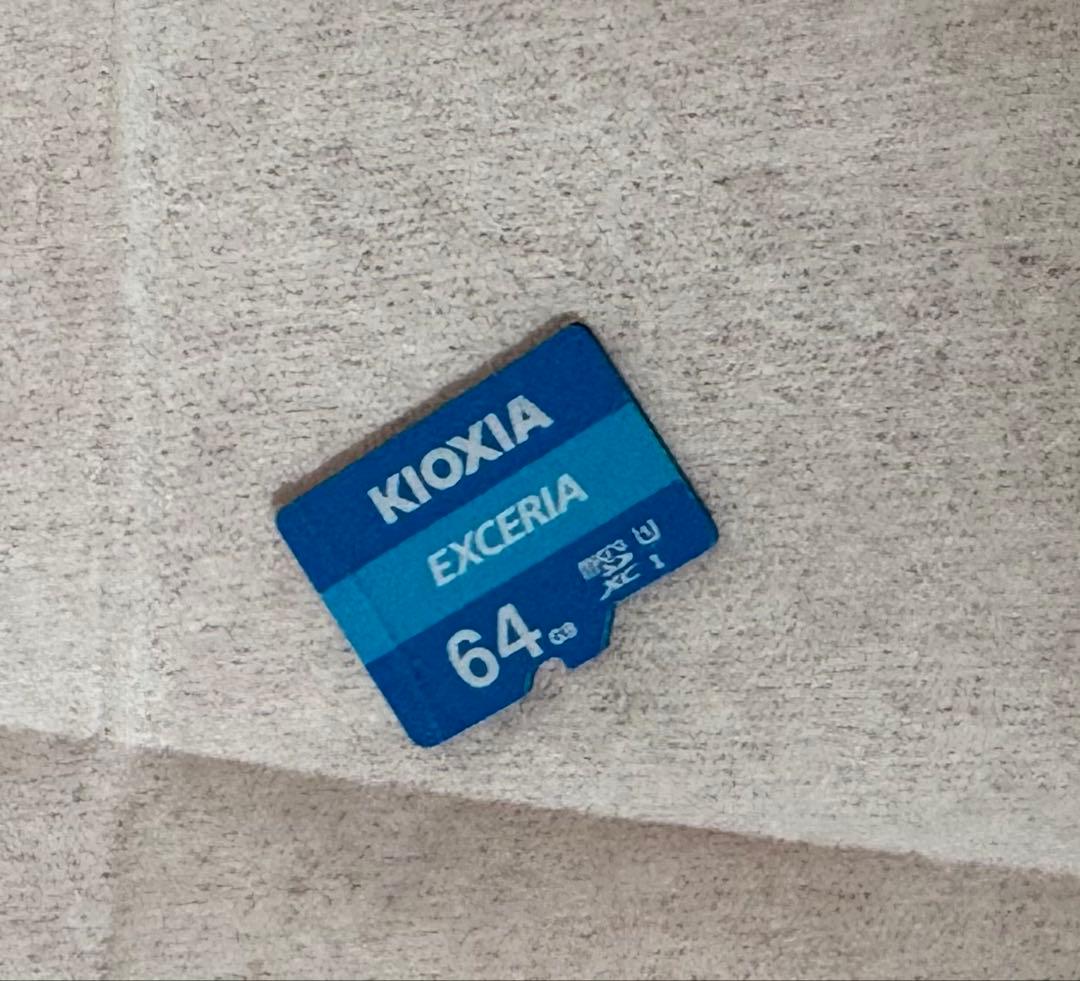 Switch Lite 任天堂 (ケース、SDカード付)