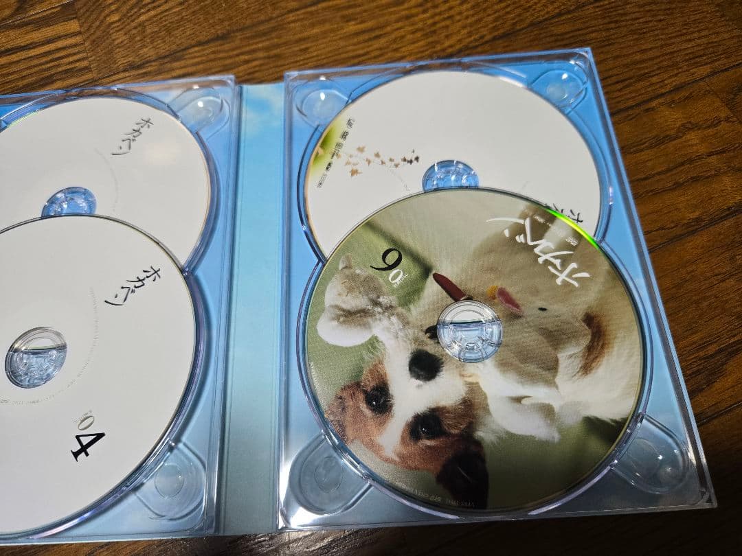 ホカベン DVD-BOX〈6枚組〉