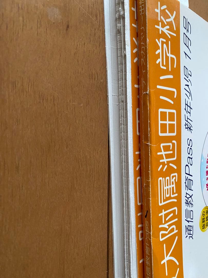 大教大附属池田小学校 通信教育Pass 新年小児 1月号〜12月号　まとめ売り