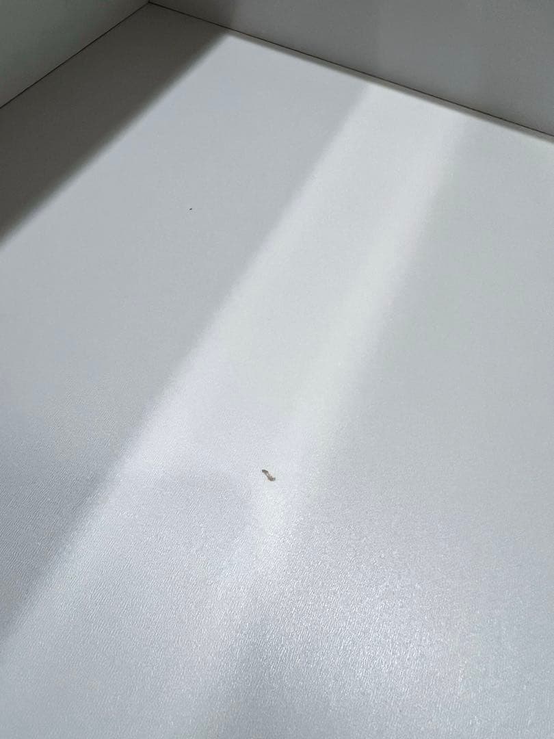 ゆきこ 【送料込み】ニトリ キッチンボード ポルテ 120KB WH