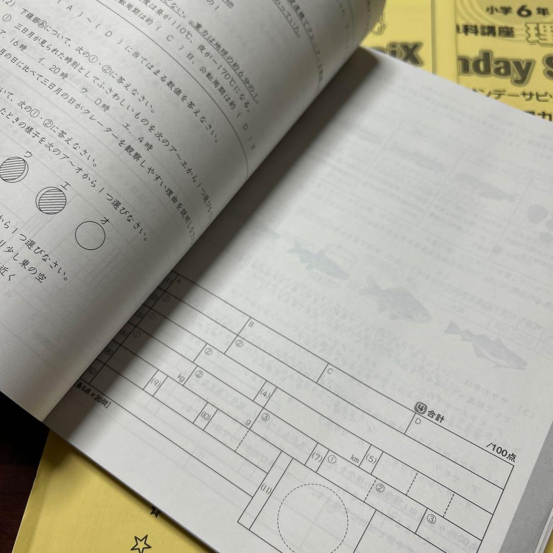 希少❣️㉓あ　書き込みなし　サピックス　Sunday SapiX 理科単科　6年