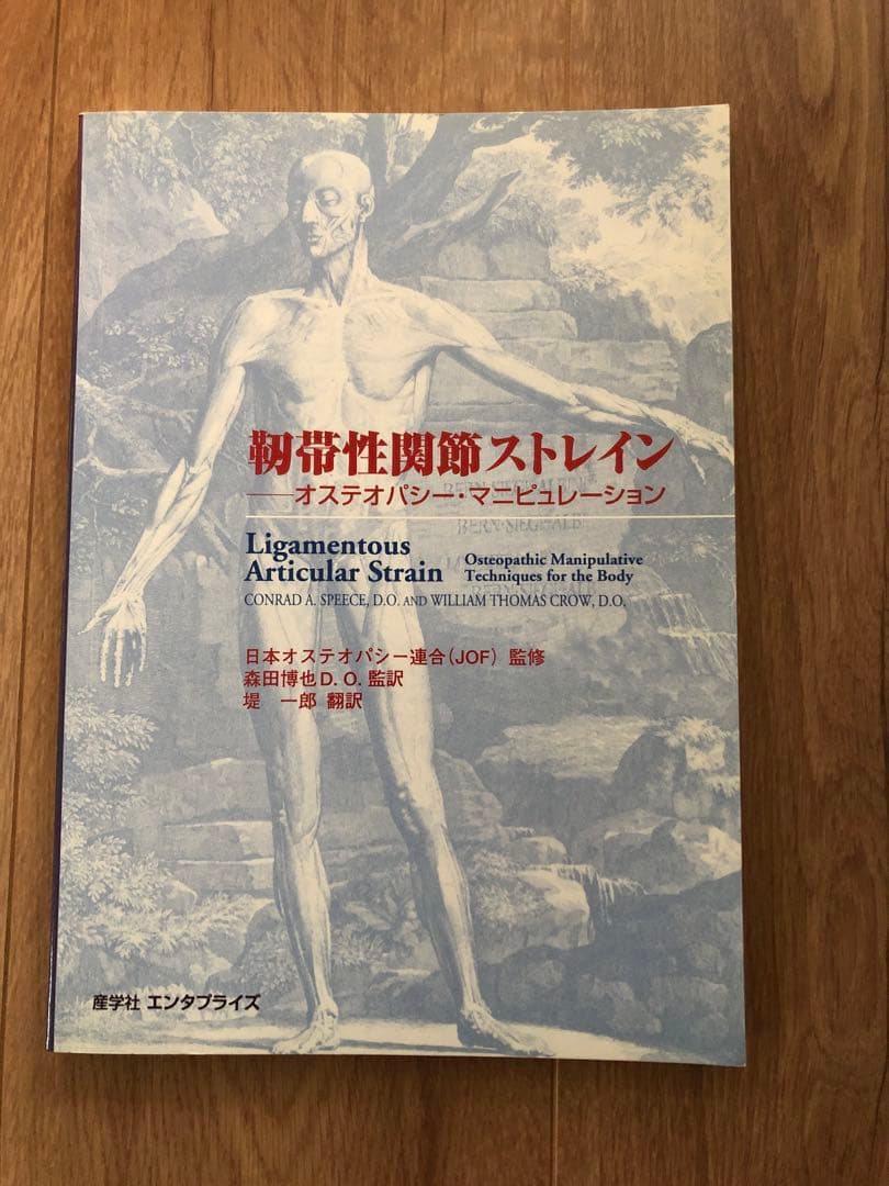 靭帯性関節ストレイン