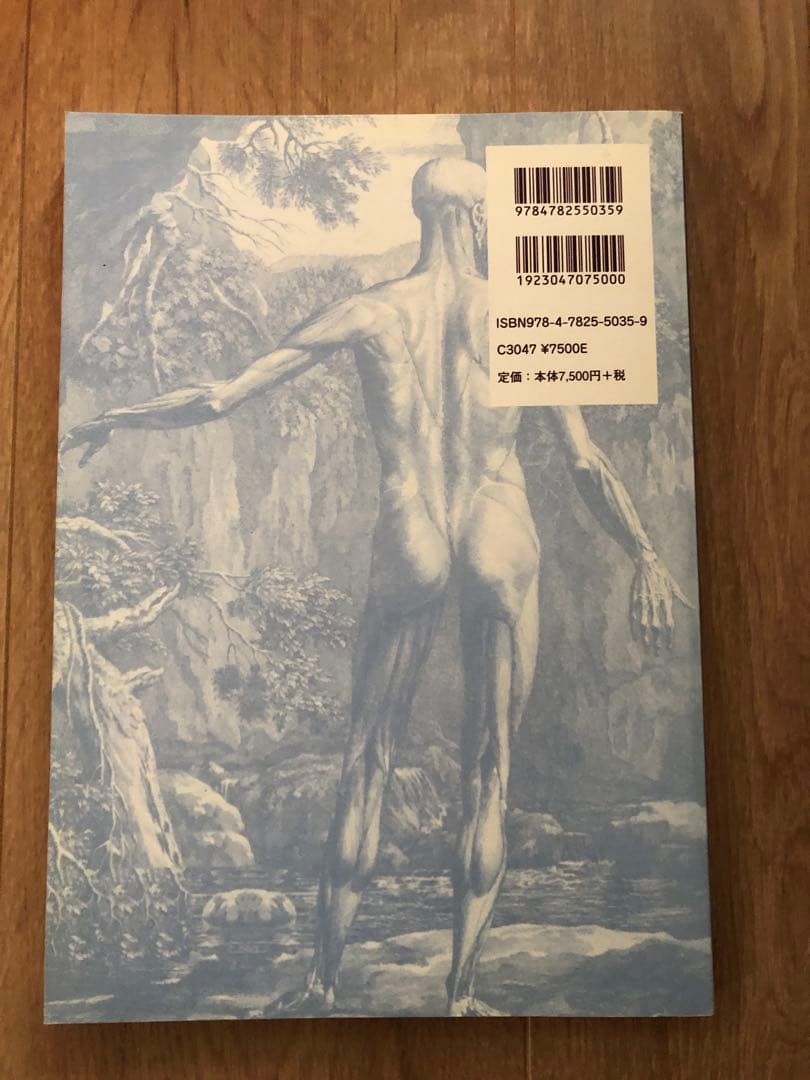 靭帯性関節ストレイン