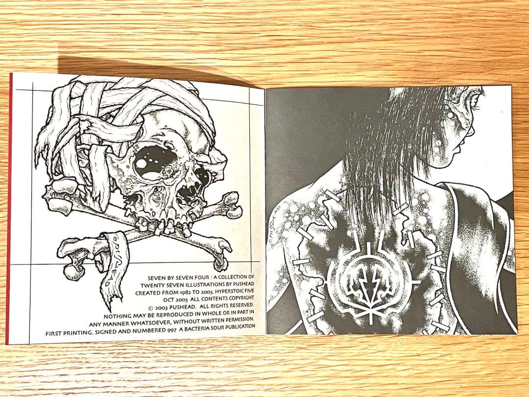 【希少】PUSHEAD パスヘッド 画集 Bacteria Sour サイン入