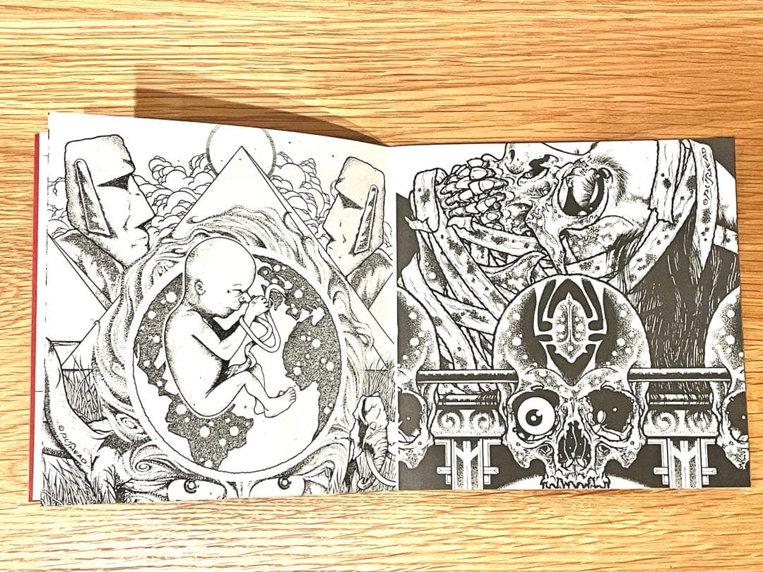 【希少】PUSHEAD パスヘッド 画集 Bacteria Sour サイン入