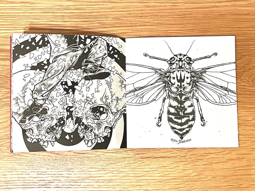 【希少】PUSHEAD パスヘッド 画集 Bacteria Sour サイン入