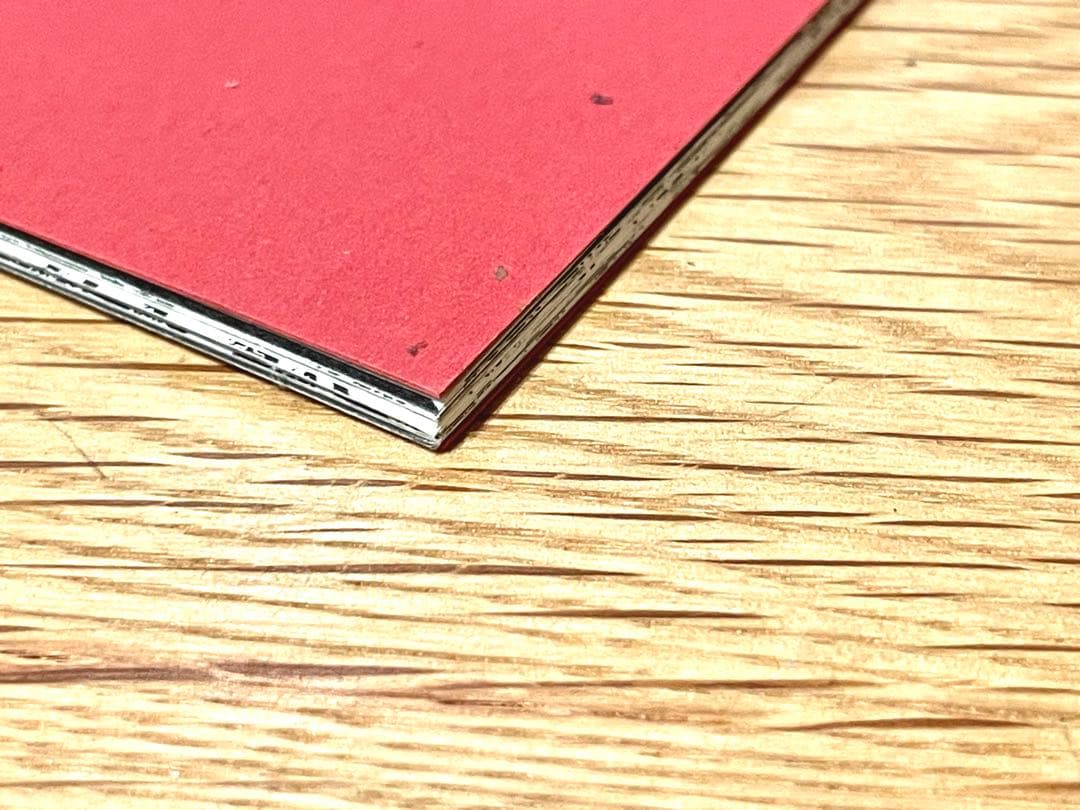 【希少】PUSHEAD パスヘッド 画集 Bacteria Sour サイン入