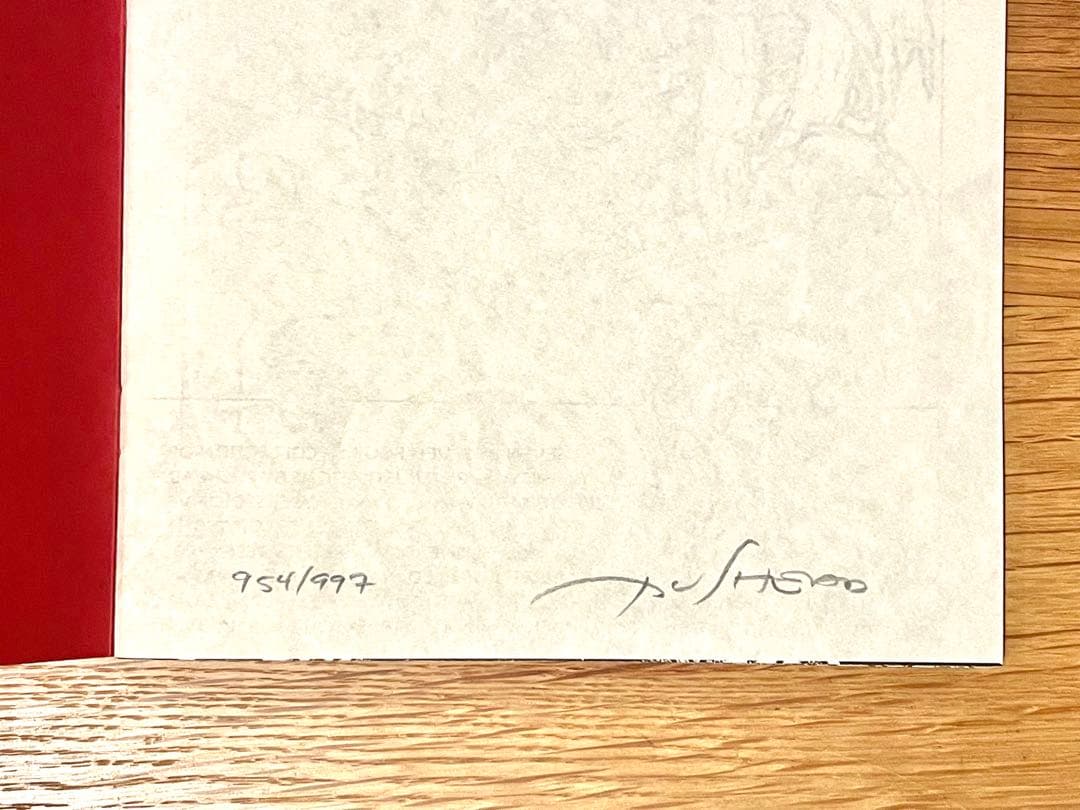 【希少】PUSHEAD パスヘッド 画集 Bacteria Sour サイン入