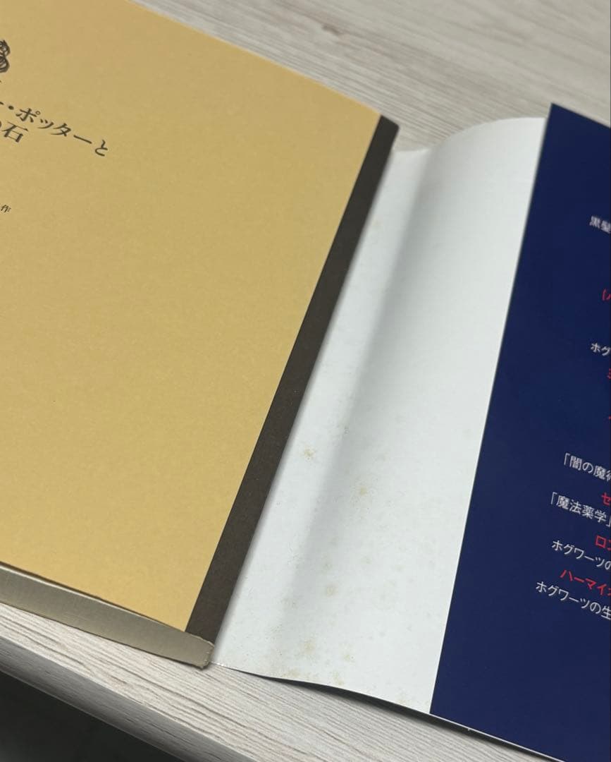 ハリーポッター文庫版 1-19巻&吟遊詩人ビートルの物語&呪いの子(第1.第2)