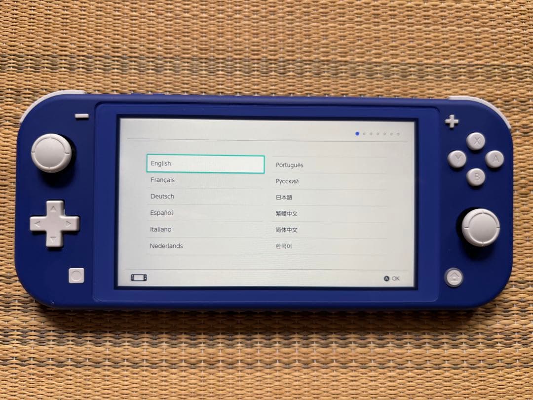 Nintendo Switch Lite ブルー本体 充電器 ケース付き