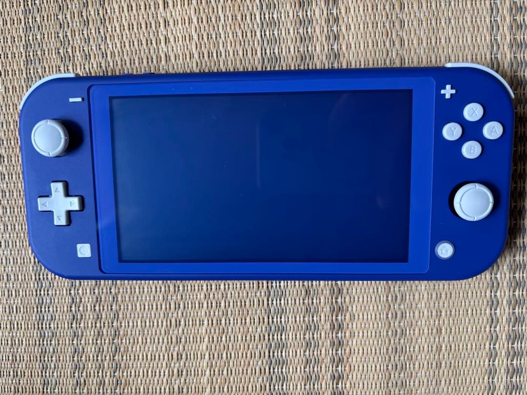 Nintendo Switch Lite ブルー本体 充電器 ケース付き