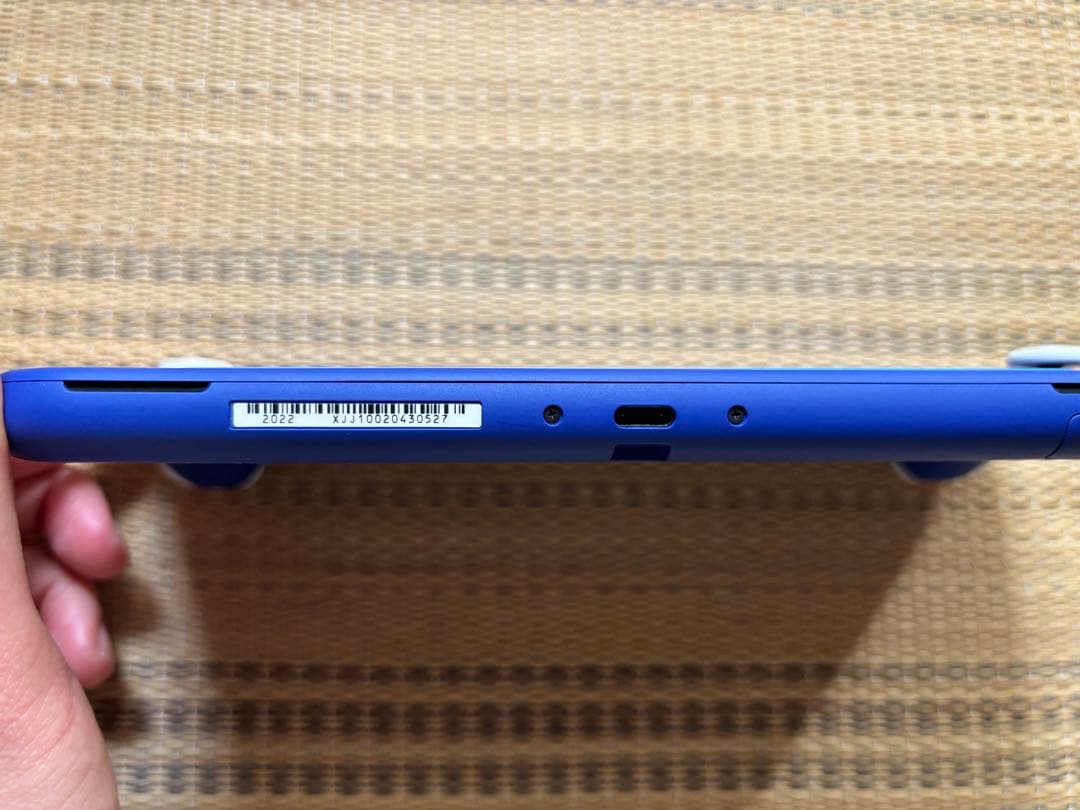 Nintendo Switch Lite ブルー本体 充電器 ケース付き