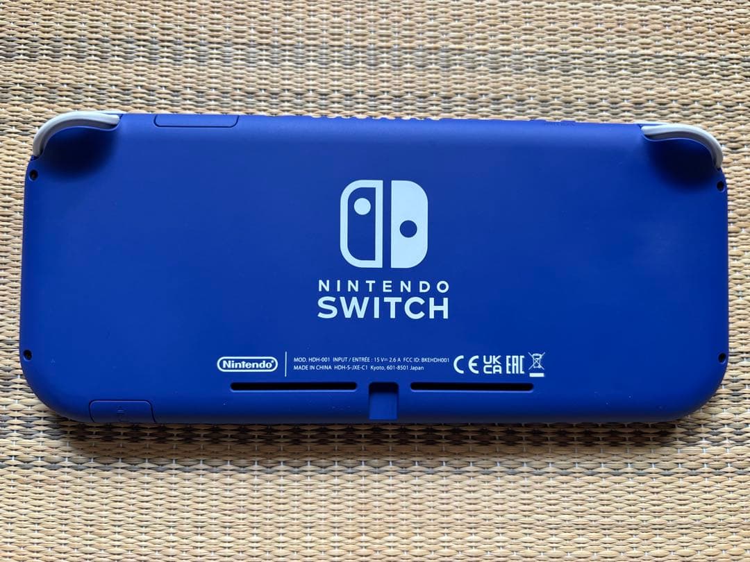 Nintendo Switch Lite ブルー本体 充電器 ケース付き