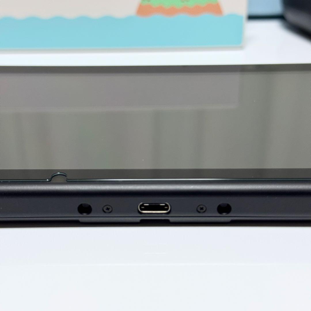 【美品】Nintendo Switch あつまれどうぶつの森 セット 本体