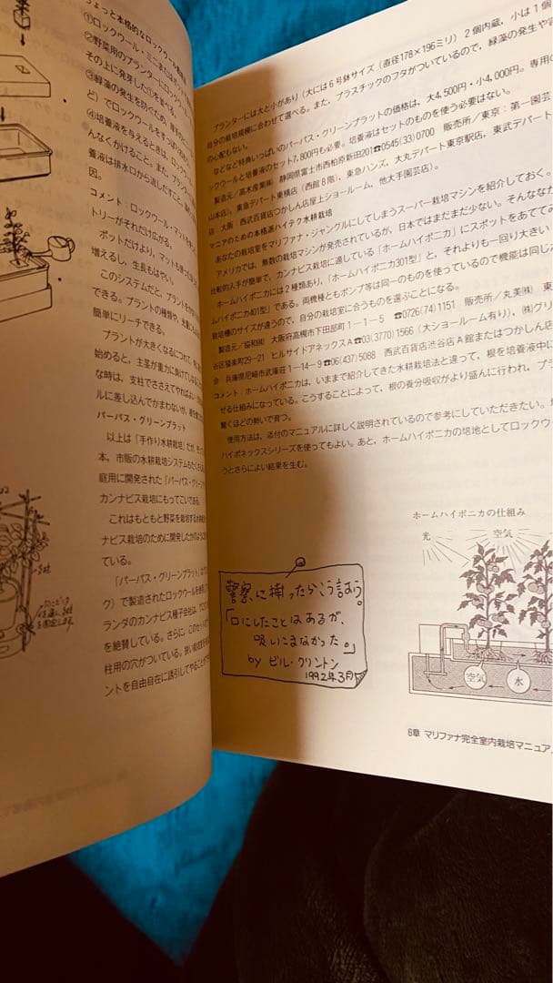 マリファナ・ナウ　ハイ　X