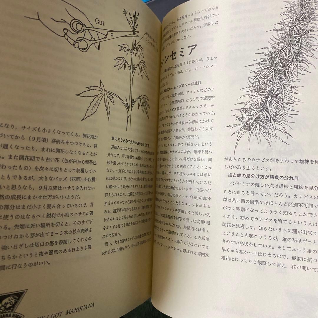 マリファナ・ナウ　ハイ　X