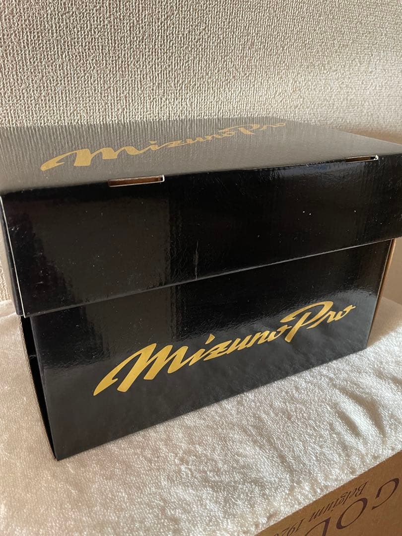 ミズノプロ　硬式内野 グローブBSSテネイシャスプロエリートレザー