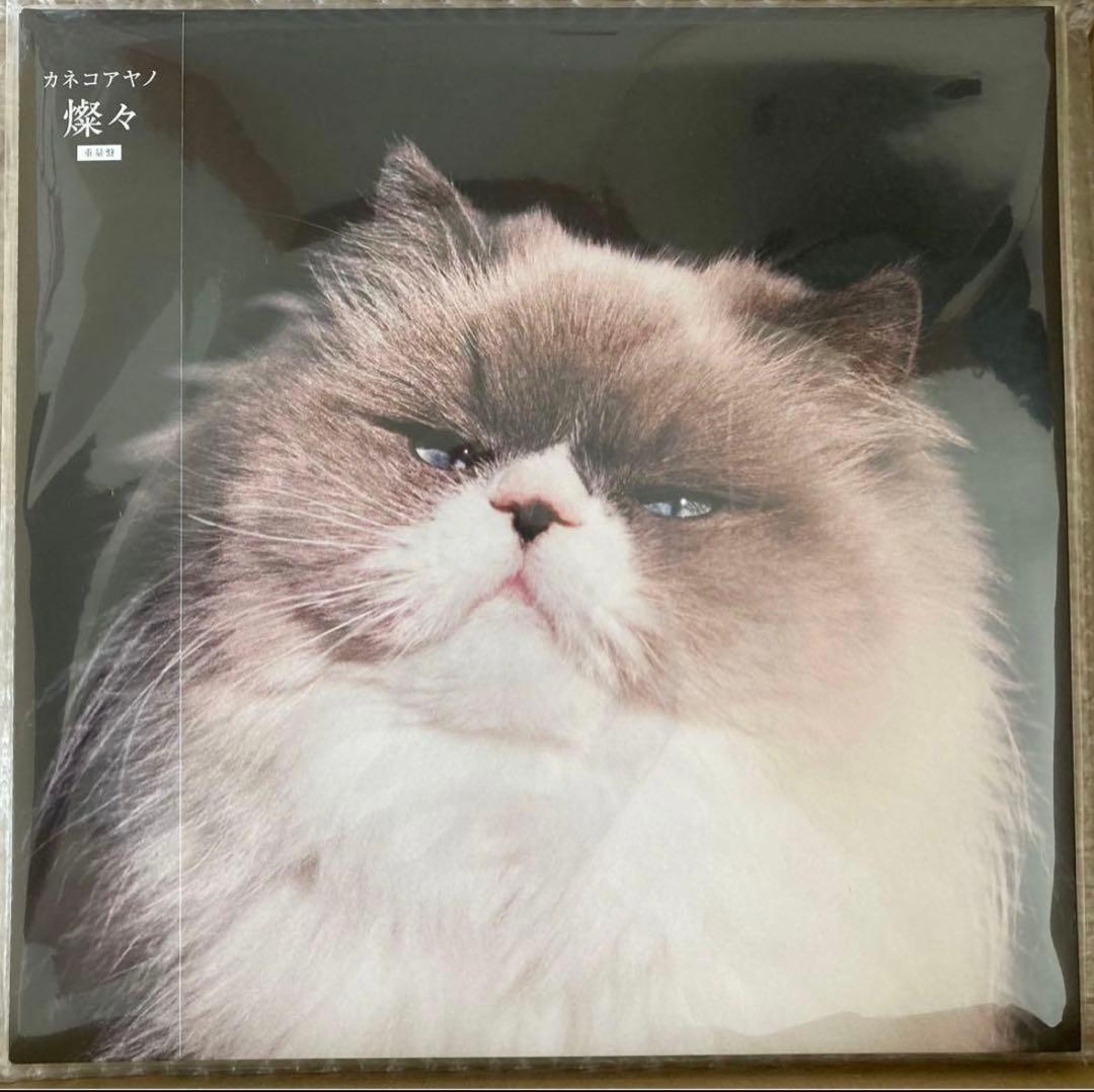 カネコアヤノ 燦々 祝祭 よすが タオルケット Cats&Dogs 石の糸 LP