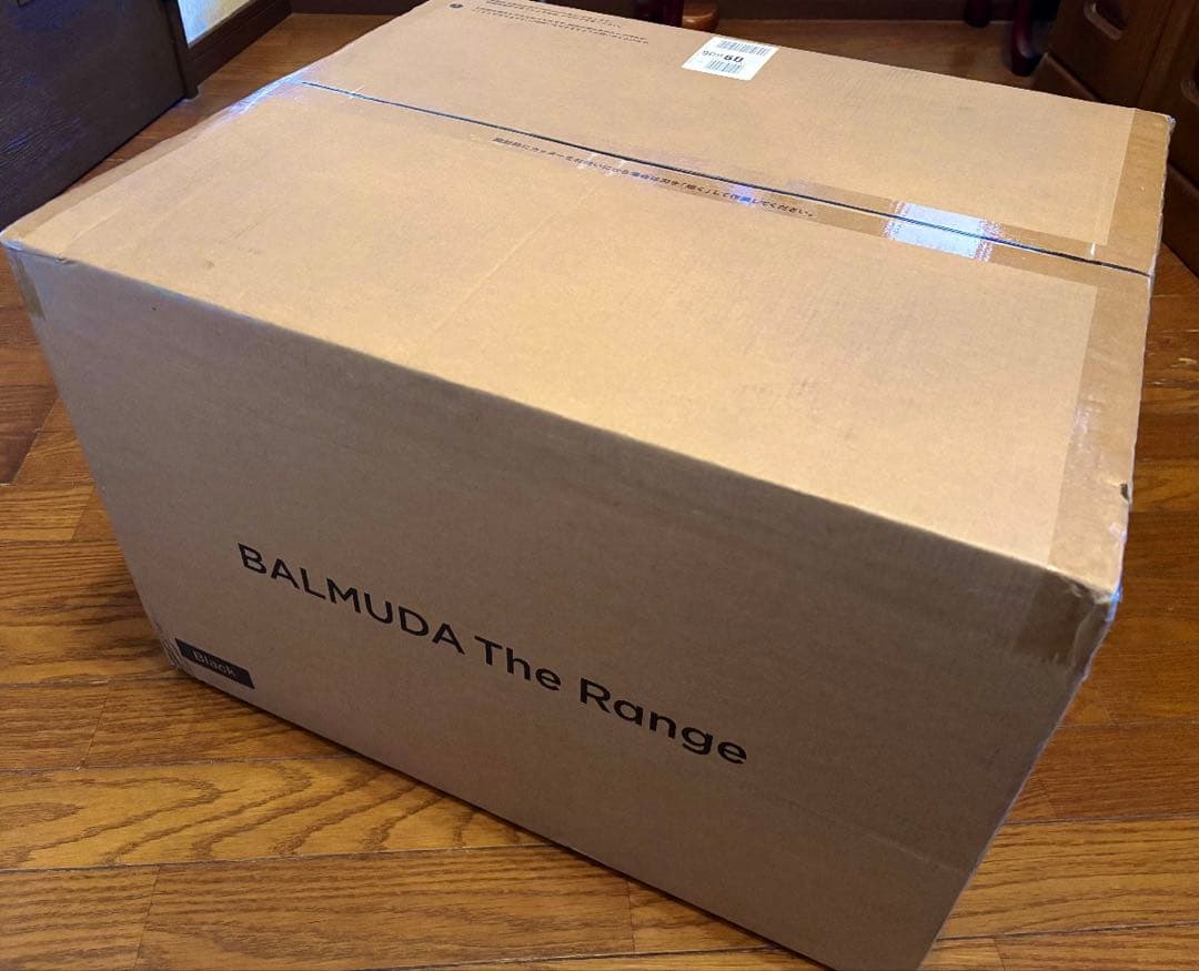 BALMUDA The Rangn バルミューダ【説明文を最後までお読み下さい】