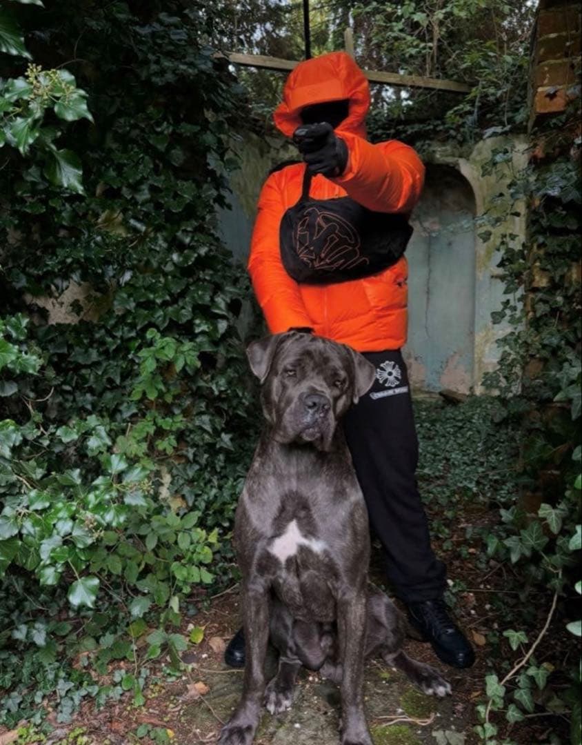 SYNA WORLD / シナワールド BAG バッグ