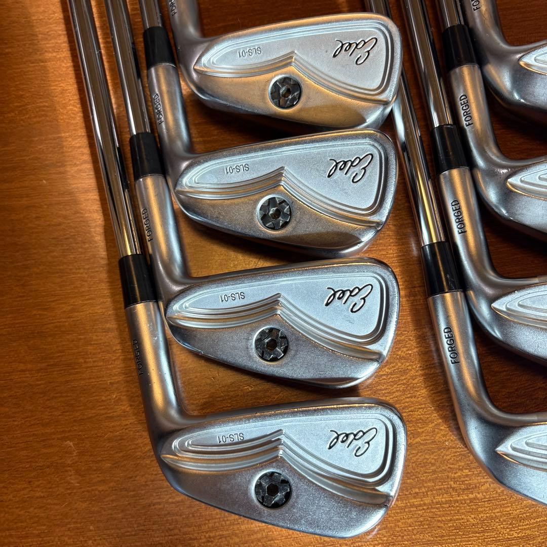 EDELイーデル ワンレングス SLS-01 #5-SW 8本　　DGX100