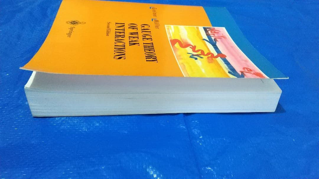 洋書 Gauge Theory of Weak Interactions