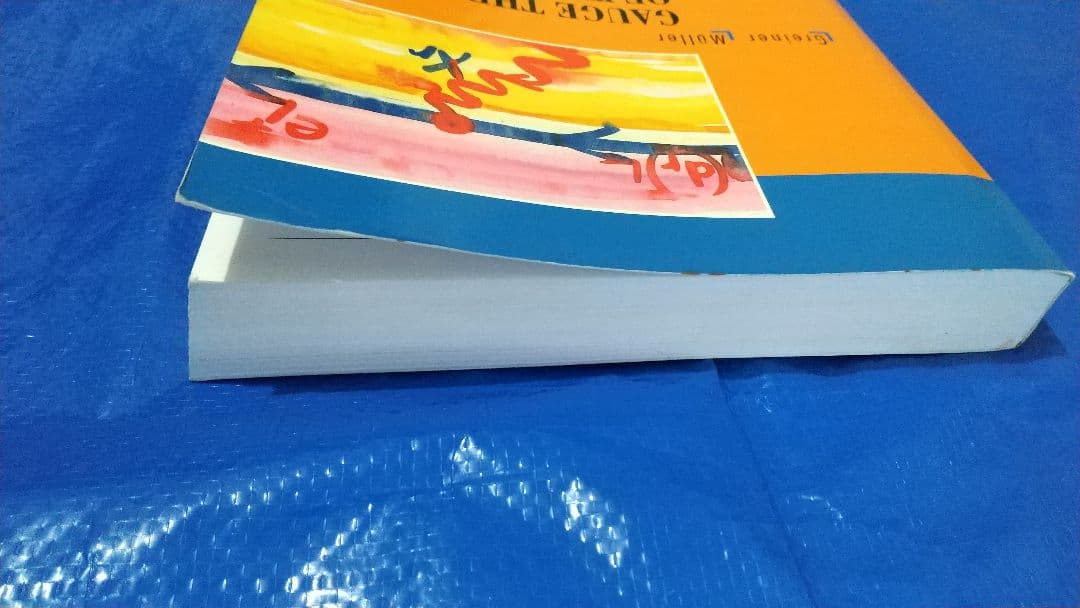 洋書 Gauge Theory of Weak Interactions