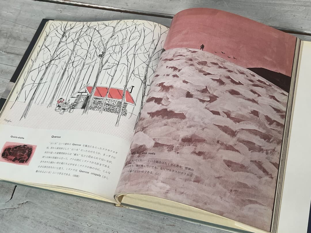 ビンテージ 山のABC 全3巻 串田孫一 畦地梅太郎 昭和34年〜44年刊 箱付