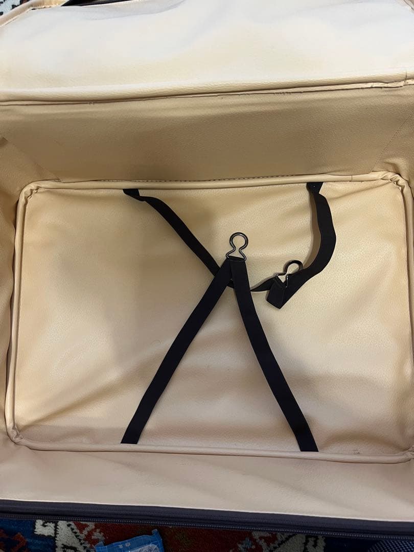 激レア　エトロ　キャリーケース　ペイズリー柄　ブラウン　本革張り