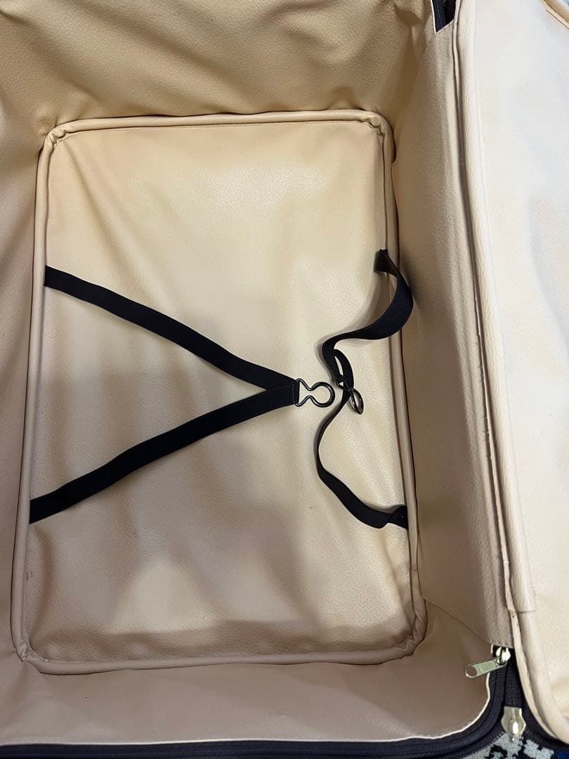 激レア　エトロ　キャリーケース　ペイズリー柄　ブラウン　本革張り