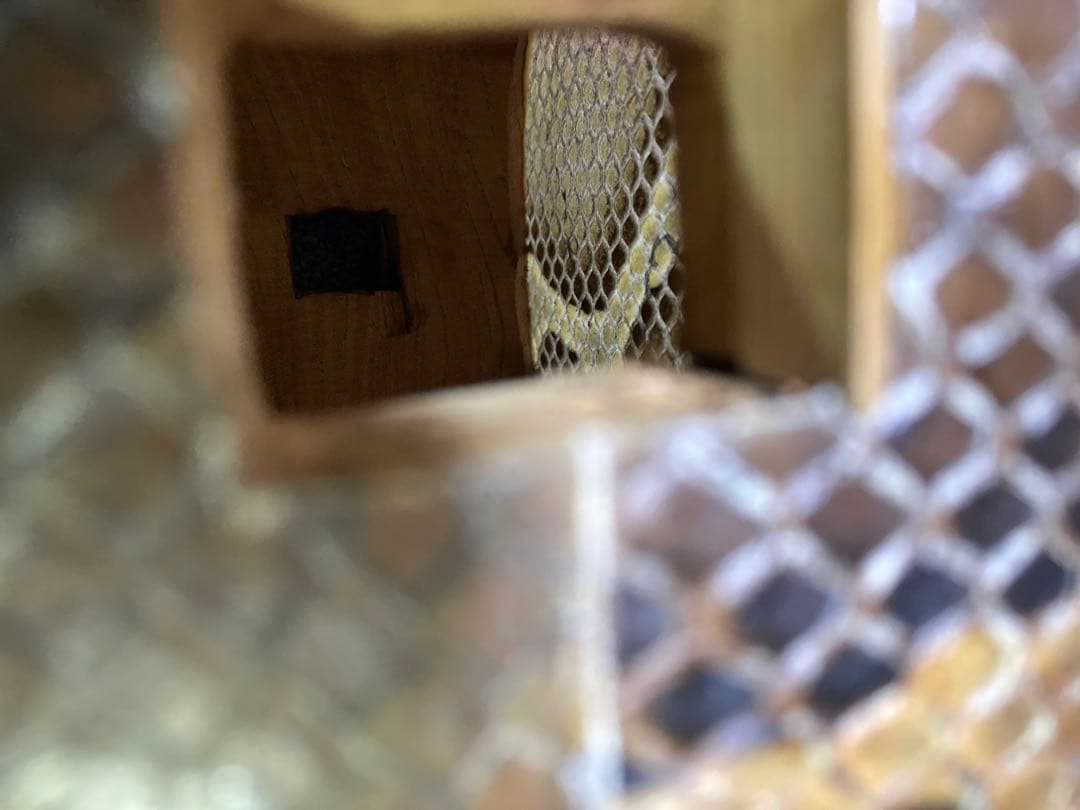 三線チーガ　胴　本皮1枚張り