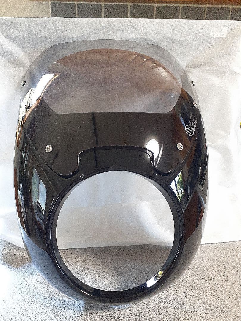 TOMO  RnineTワンダーリッヒ DAYTONAフロントカウル