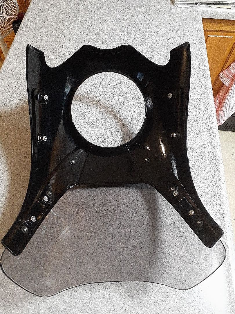 TOMO  RnineTワンダーリッヒ DAYTONAフロントカウル