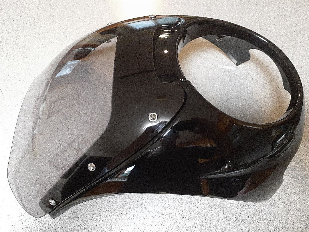 TOMO  RnineTワンダーリッヒ DAYTONAフロントカウル