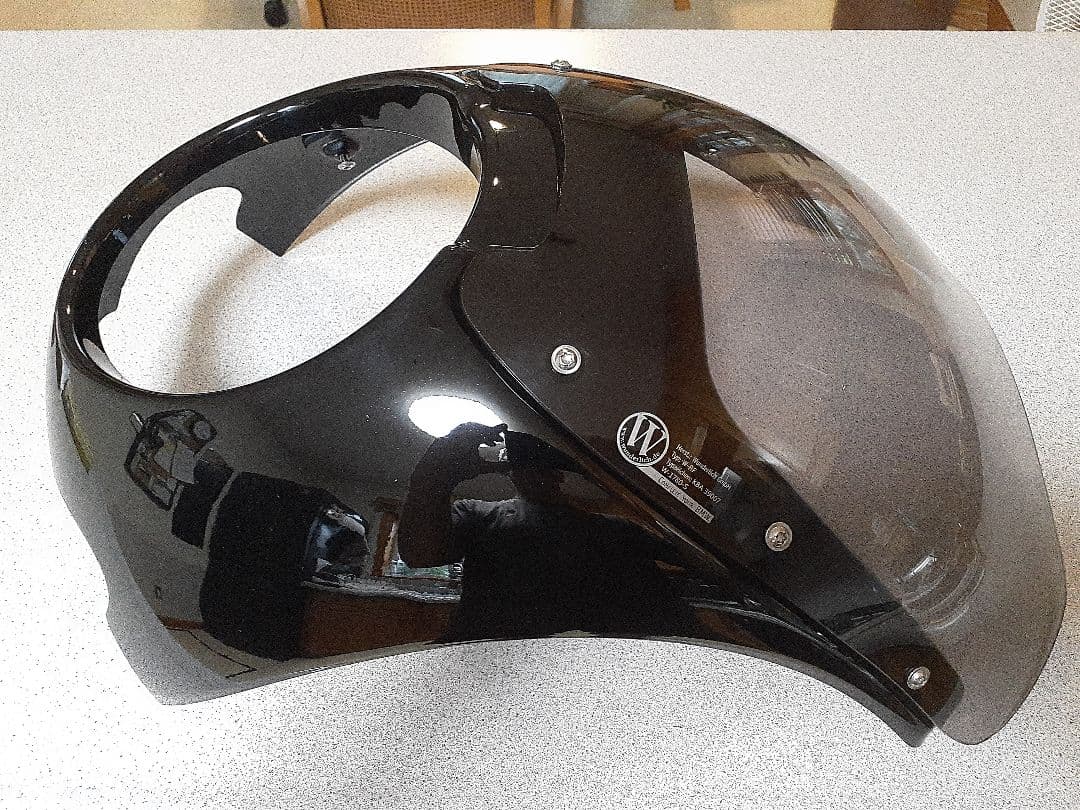 TOMO  RnineTワンダーリッヒ DAYTONAフロントカウル