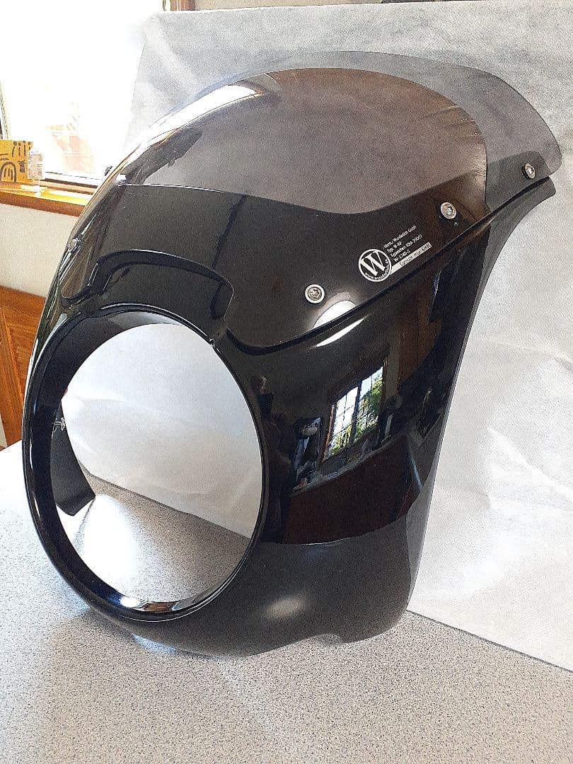 TOMO  RnineTワンダーリッヒ DAYTONAフロントカウル