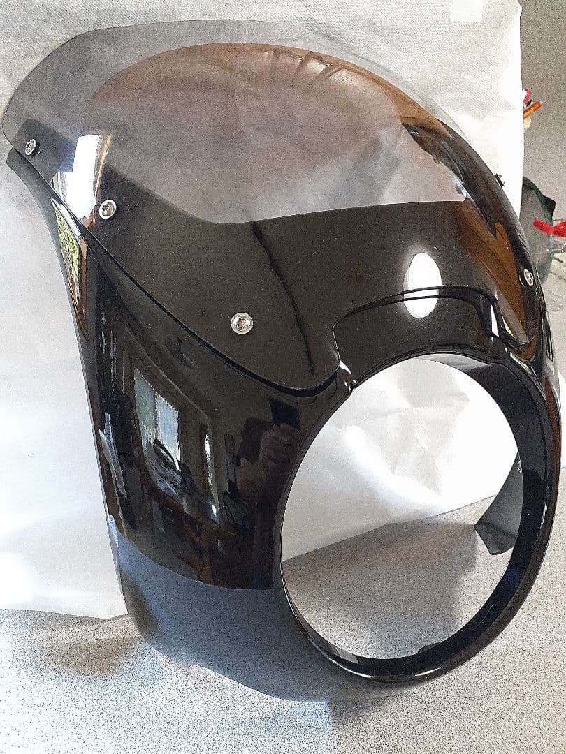 TOMO  RnineTワンダーリッヒ DAYTONAフロントカウル