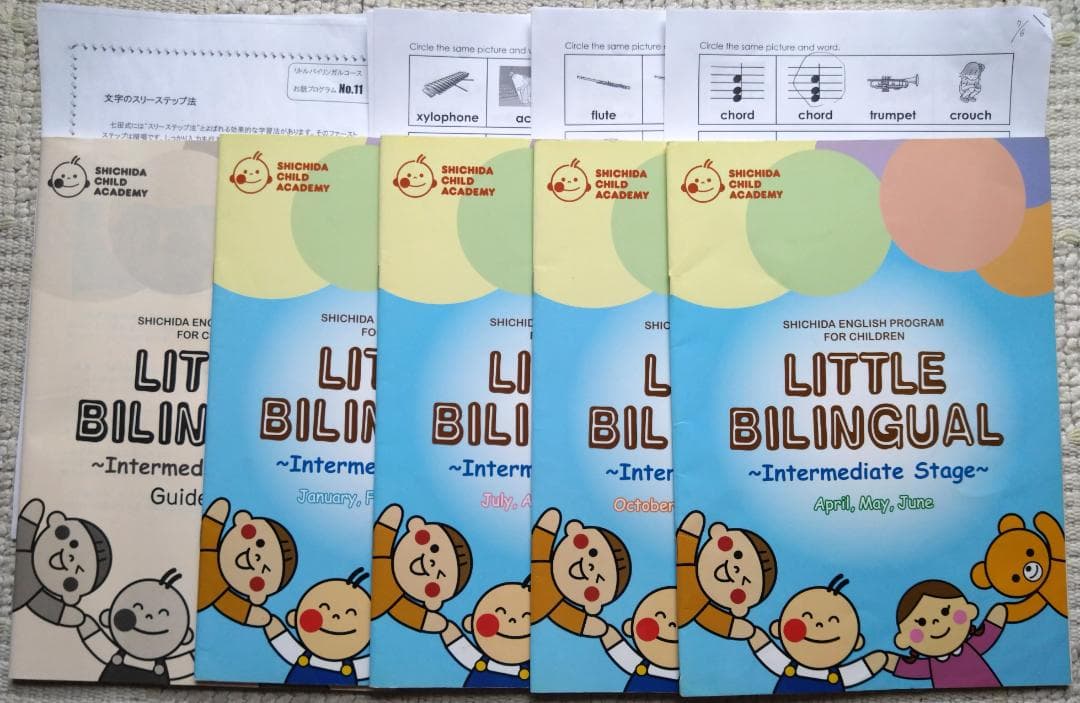 七田 LITTLE BILINGUAL Year1～Advanced　全式